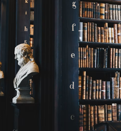 You are currently viewing Criminal Law and Legal Rights